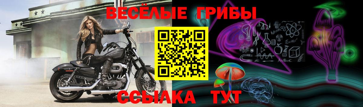 Псилоцибиновые грибы прущие грибы  Вход с VPN  Псилоцибиновые грибы мухоморы  Балашов 